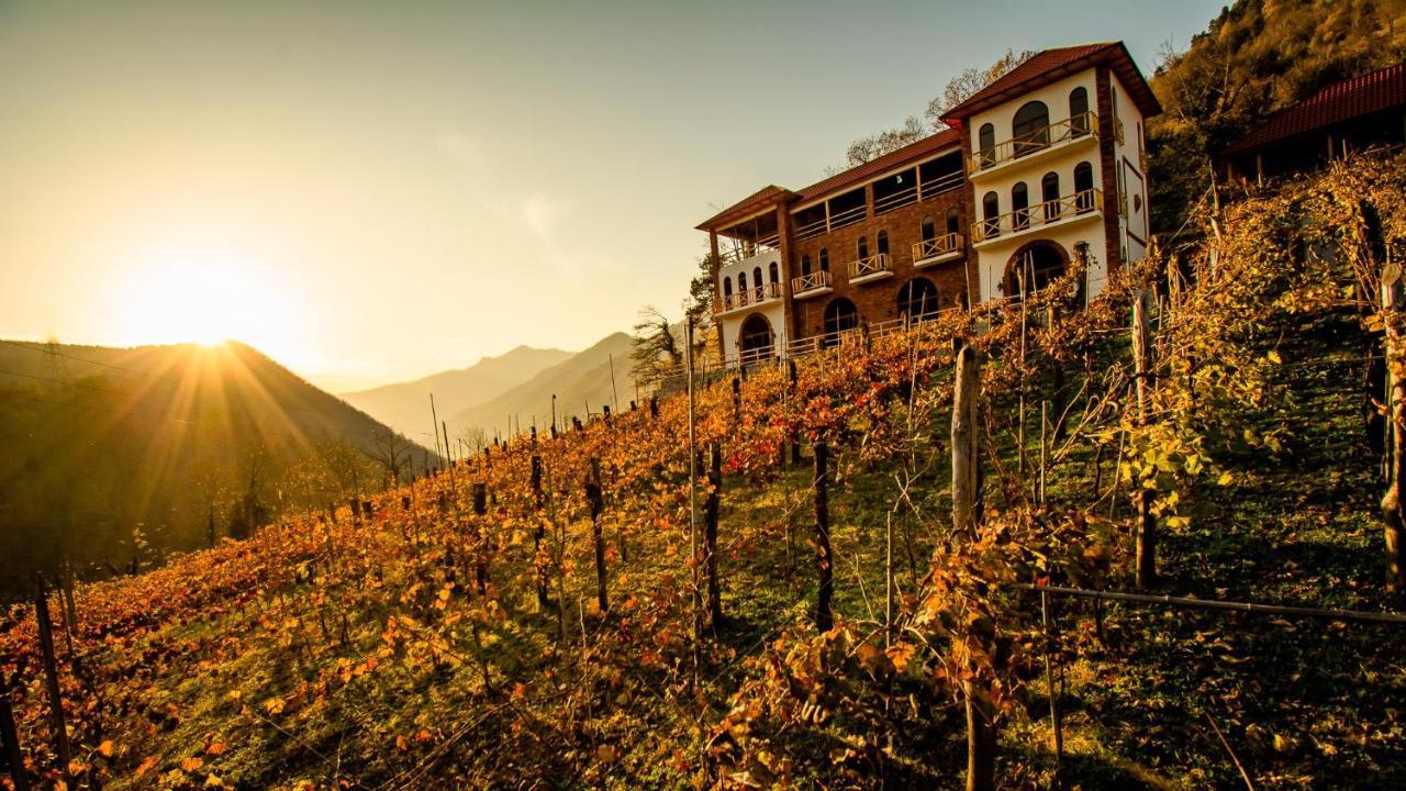 Hotel Chateau Iveri Varjanisi Εξωτερικό φωτογραφία