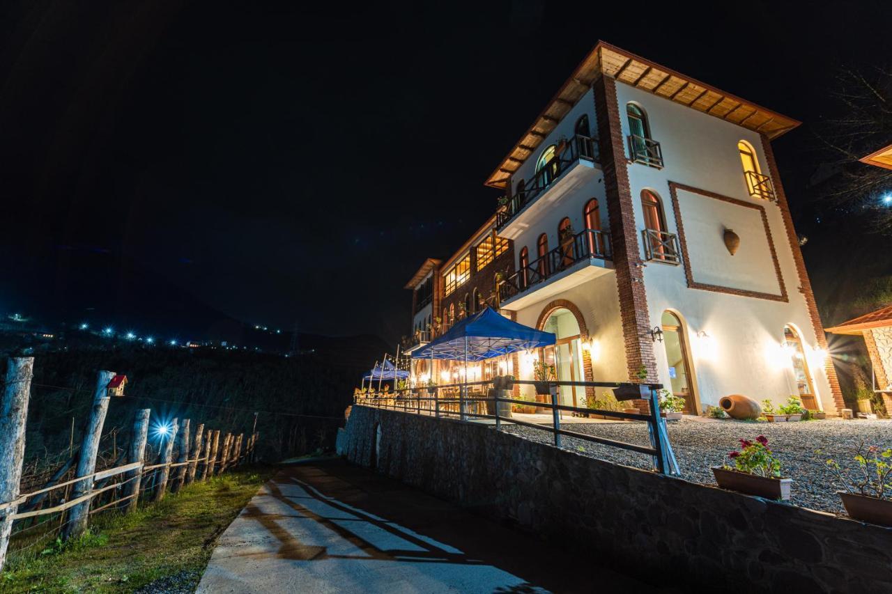 Hotel Chateau Iveri Varjanisi Εξωτερικό φωτογραφία
