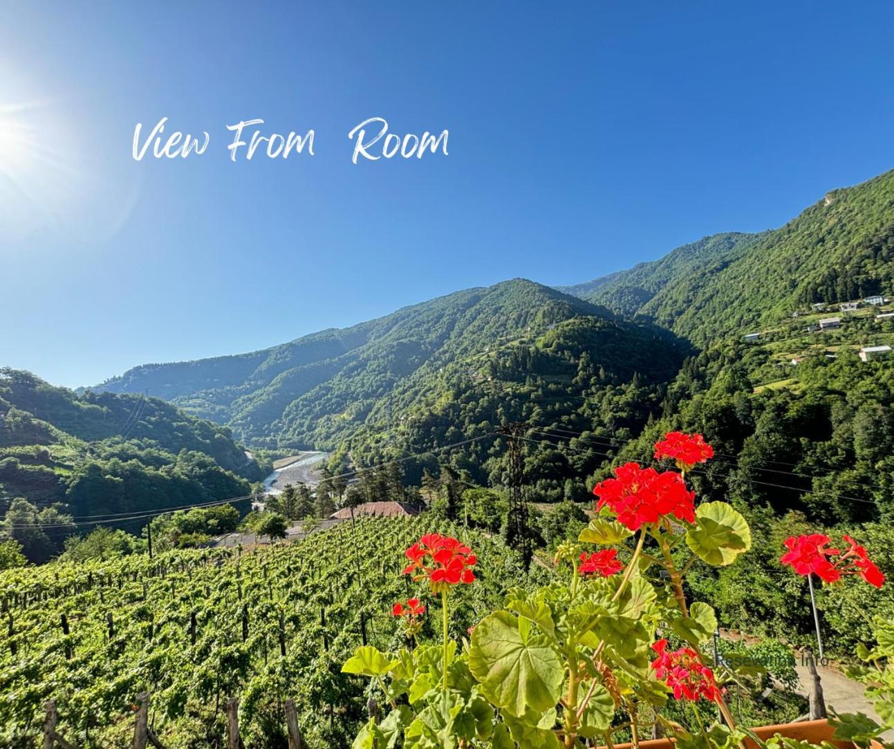 Hotel Chateau Iveri Varjanisi Εξωτερικό φωτογραφία